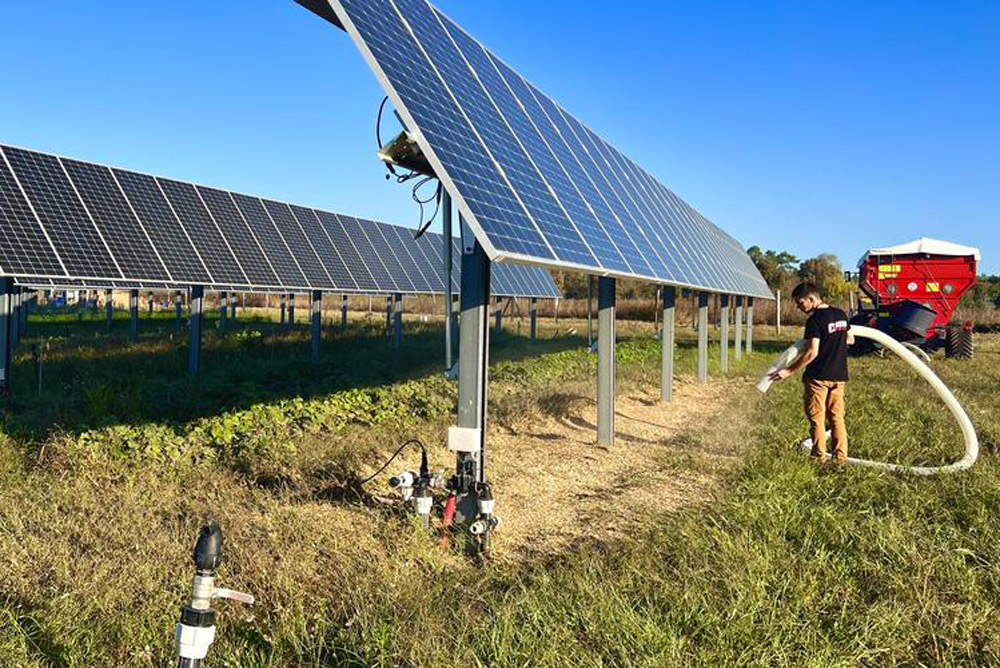 agriculteur sous panneau agrivoltaïque